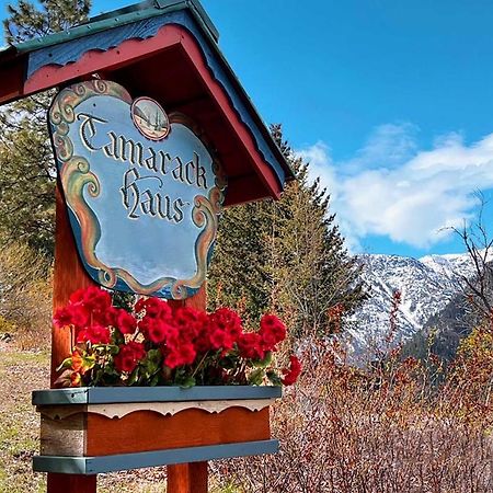 Tamarack Haus Hot Tub And Ev Charging Walk Dtwn! Βίλα Leavenworth Εξωτερικό φωτογραφία