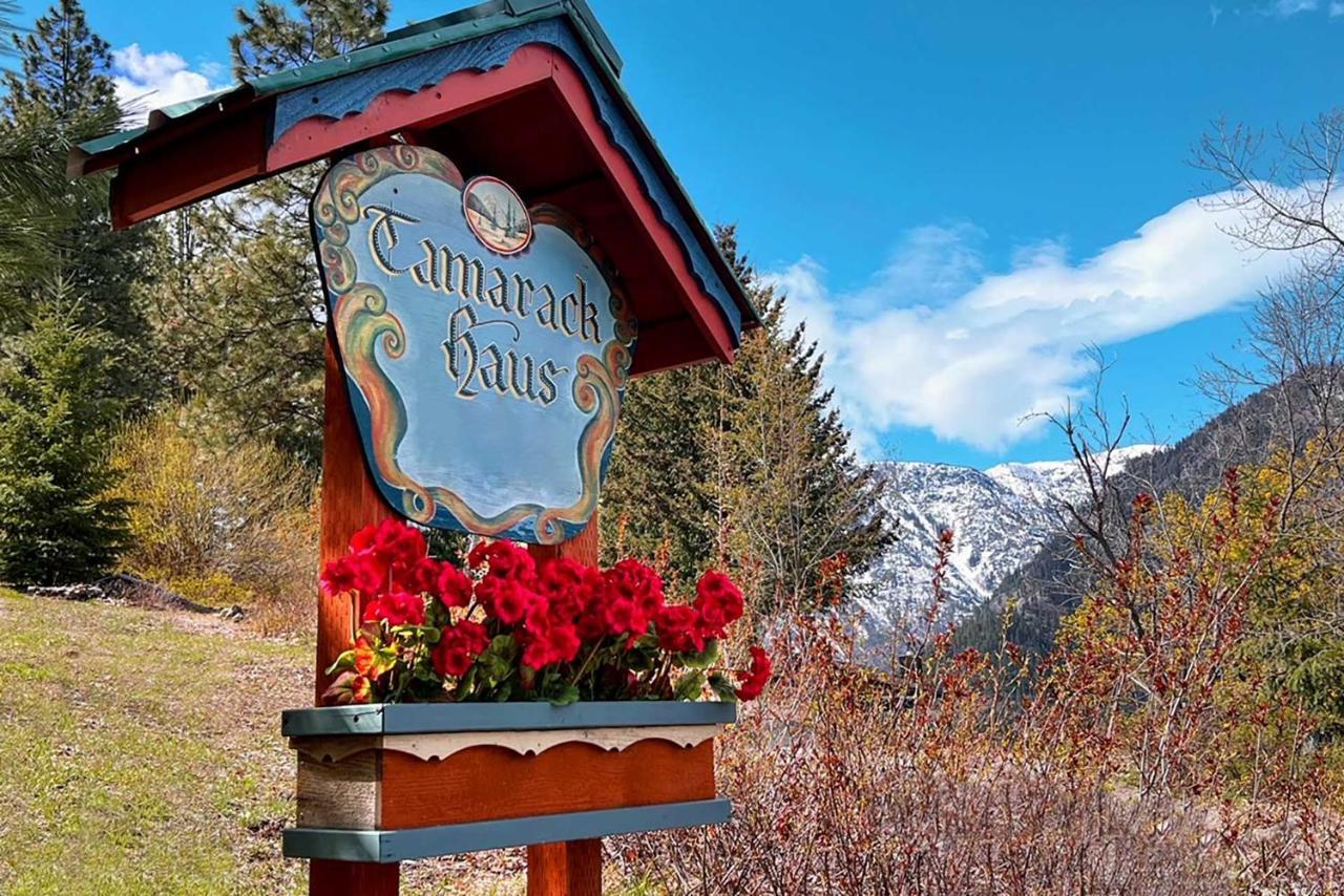 Tamarack Haus Hot Tub And Ev Charging Walk Dtwn! Βίλα Leavenworth Εξωτερικό φωτογραφία
